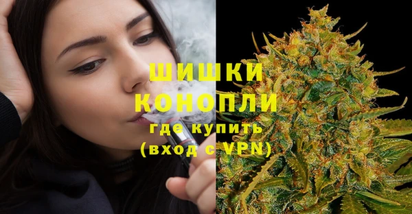 молекула духа Белоозёрский