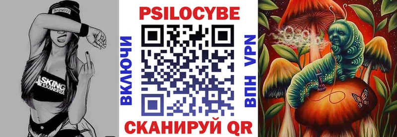 наркота  Короча  Галлюциногенные грибы Psilocybe 